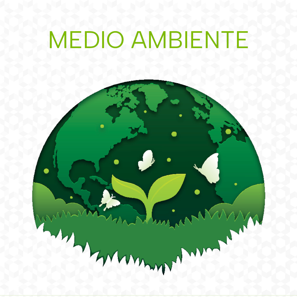 Featured image for “El Medio Ambiente”